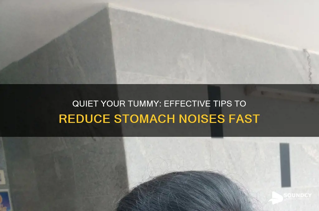 how to reduce stomach sounds