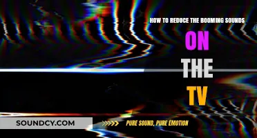 Quieting the Boom: Tips to Reduce TV Sound Distortion