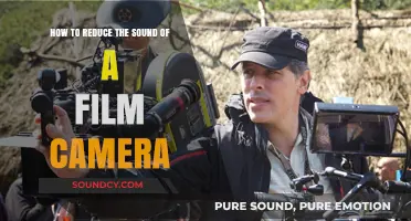 Silencing the Shutter: Tips to Reduce Film Camera Noise