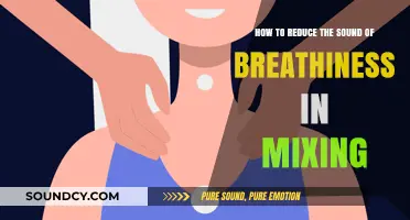 Mixing Mastery: Taming Breathiness for Professional Sound Quality