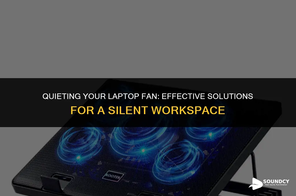 how to reduce the sound of my laptop fan