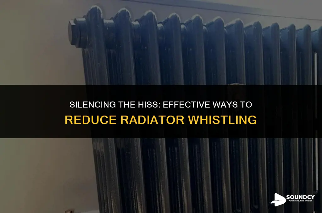 how to reduce the whistling sound form the radiator