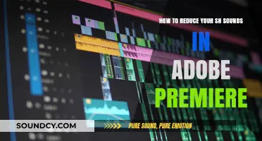 Mastering Audio Editing: Minimizing Sh Sounds in Adobe Premiere