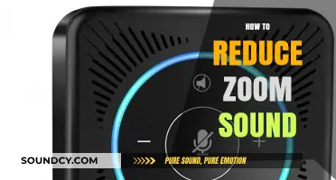 Effective Tips to Minimize Zoom Audio Noise and Enhance Call Quality