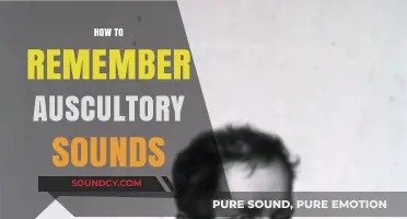 Mastering Auscultation: Effective Techniques to Remember Auscultatory Sounds Easily