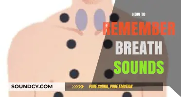 Mastering Breath Sounds: Effective Techniques for Accurate Auscultation and Recall