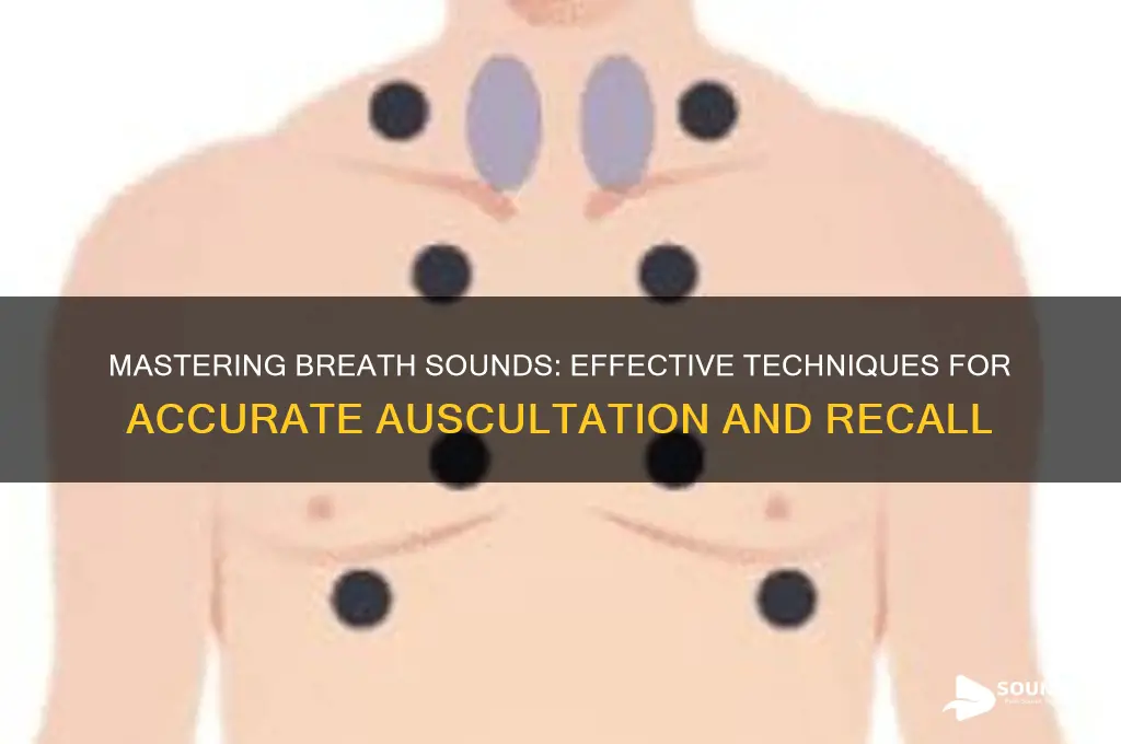 how to remember breath sounds
