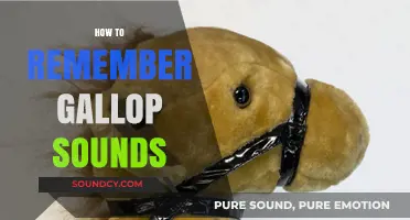 Mastering Gallop Sounds: Effective Techniques to Remember Horse Hooves