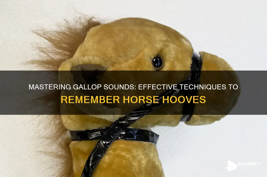 how to remember gallop sounds