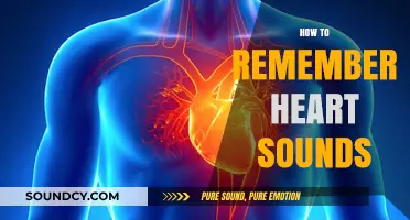Mastering Heart Sounds: Effective Techniques to Remember Auscultation Patterns
