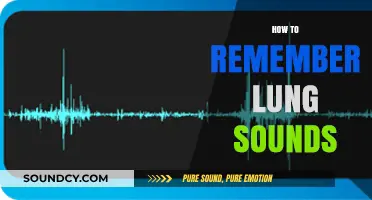 Mastering Lung Sounds: Effective Techniques to Remember and Identify Them