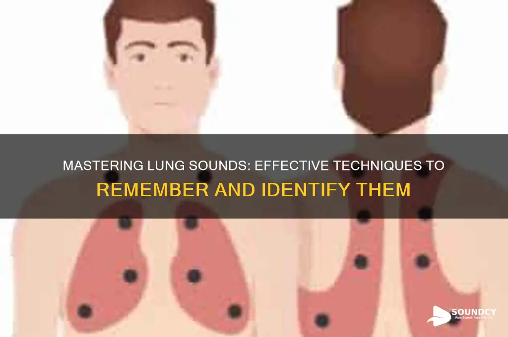 how to remember lung sounds