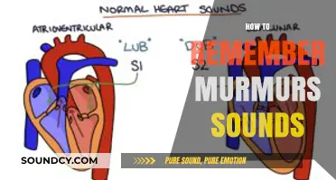 Mastering Murmur Memory: Effective Techniques to Remember Heart Sounds