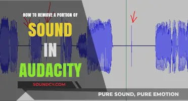 Efficiently Editing Audio: Removing Sound Segments in Audacity