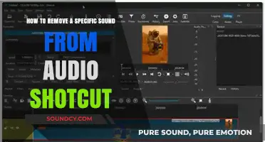 Efficiently Eliminate Unwanted Sounds in Shotcut: A Step-by-Step Guide