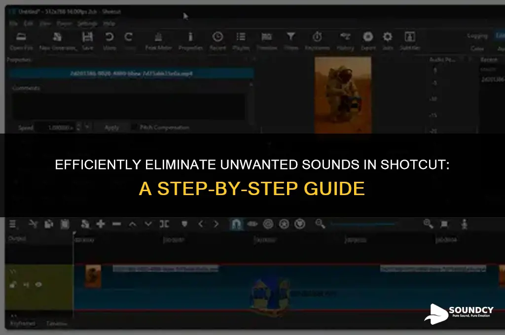 how to remove a specific sound from audio shotcut