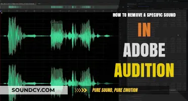 Efficiently Eliminate Unwanted Sounds in Adobe Audition: A Step-by-Step Guide