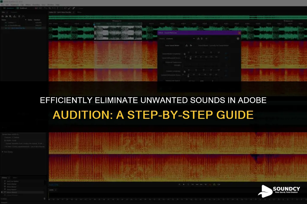how to remove a specific sound in adobe audition