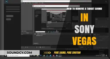 Efficiently Eliminate Unwanted Noise in Sony Vegas: A Step-by-Step Guide