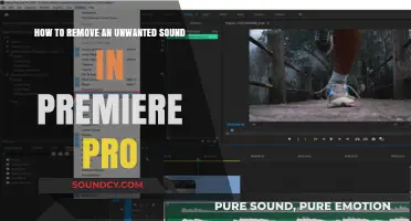 Efficiently Eliminate Unwanted Sounds in Premiere Pro: A Step-by-Step Guide