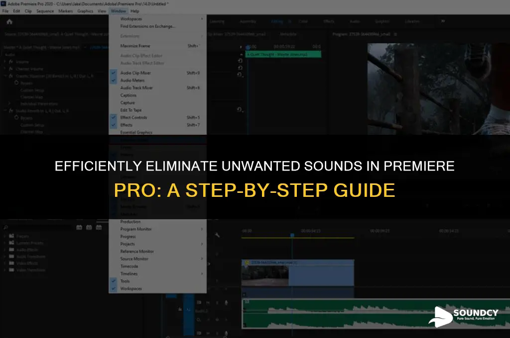 how to remove an unwanted sound in premiere pro