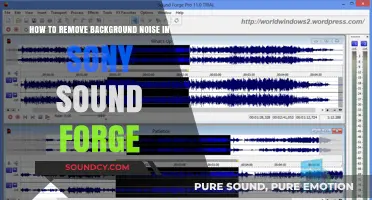 Efficiently Eliminate Background Noise in Sony Sound Forge: A Step-by-Step Guide