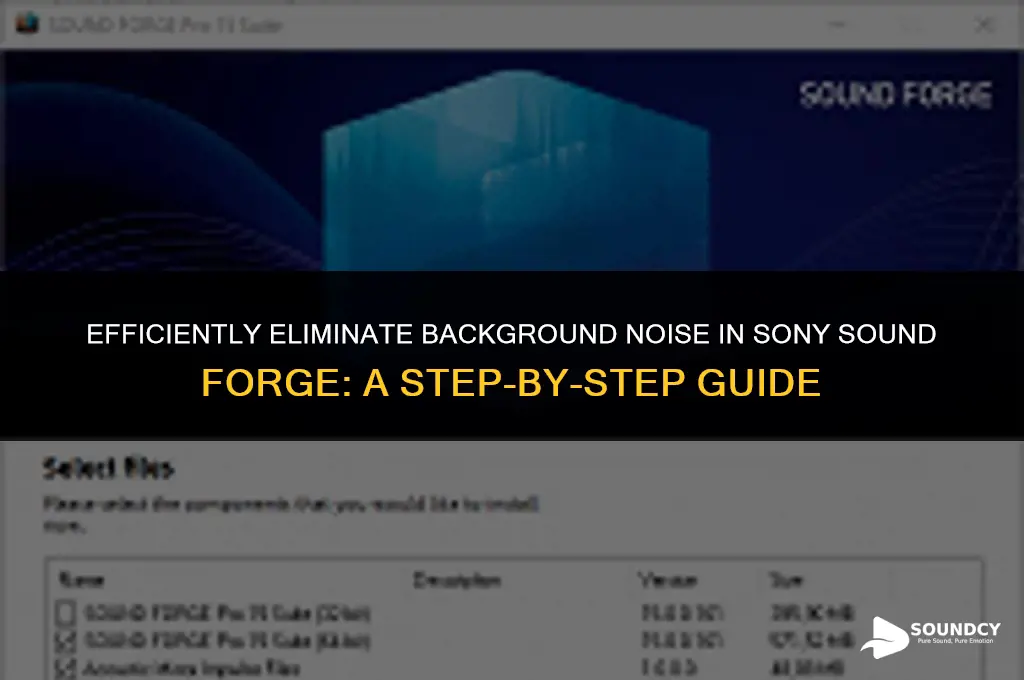 how to remove background noise in sony sound forge