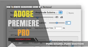 Efficiently Eliminate Background Noise in Adobe Premiere Pro