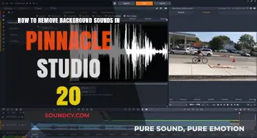 Efficiently Eliminate Background Noise in Pinnacle Studio 20: A Step-by-Step Guide