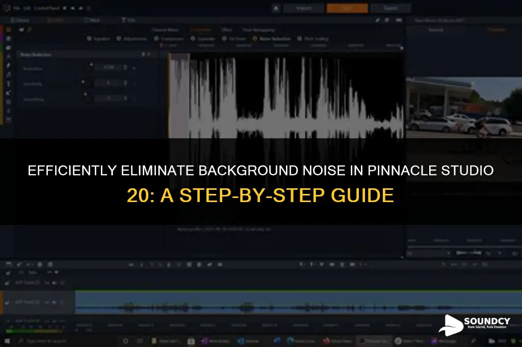 how to remove background sounds in pinnacle studio 20