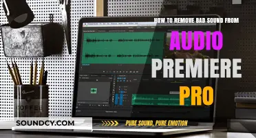 Audio Cleanup: Removing Unwanted Noise in Premiere Pro