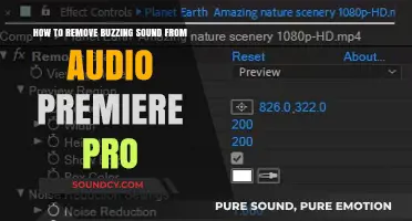 Silencing the Buzz: A Guide to Removing Unwanted Noise in Adobe Premiere Pro