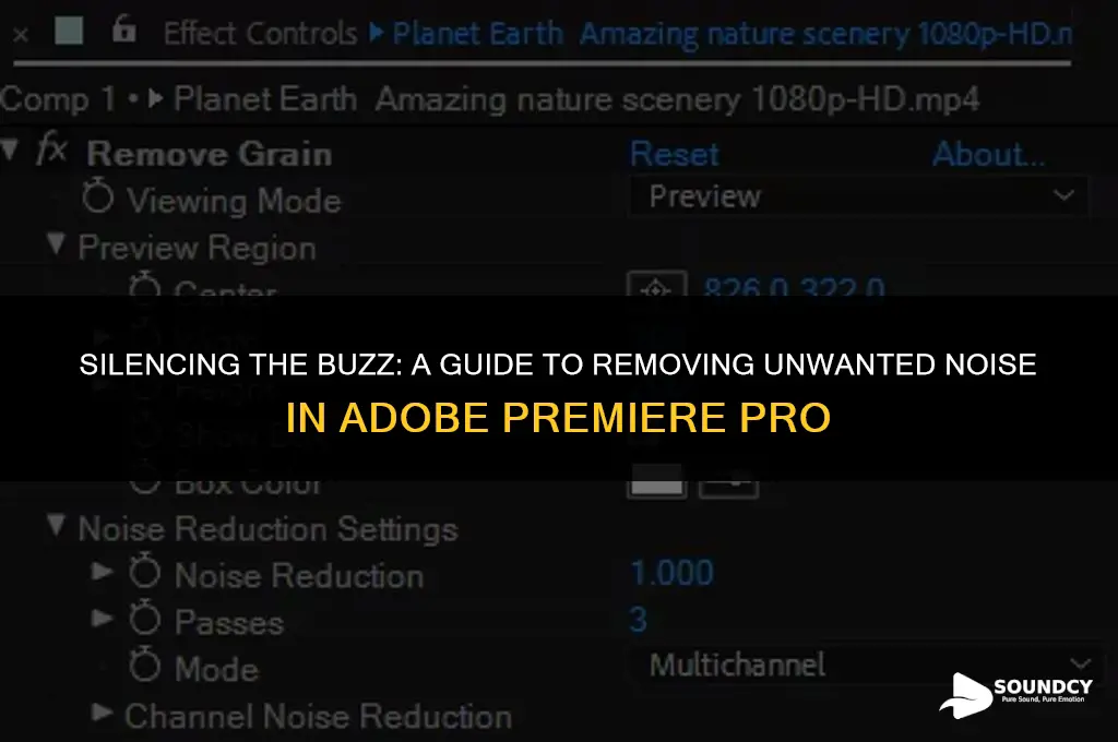 how to remove buzzing sound from audio premiere pro