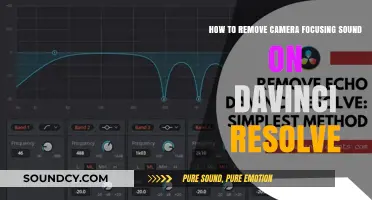 Silencing the Focus: Removing Camera Sounds in DaVinci Resolve