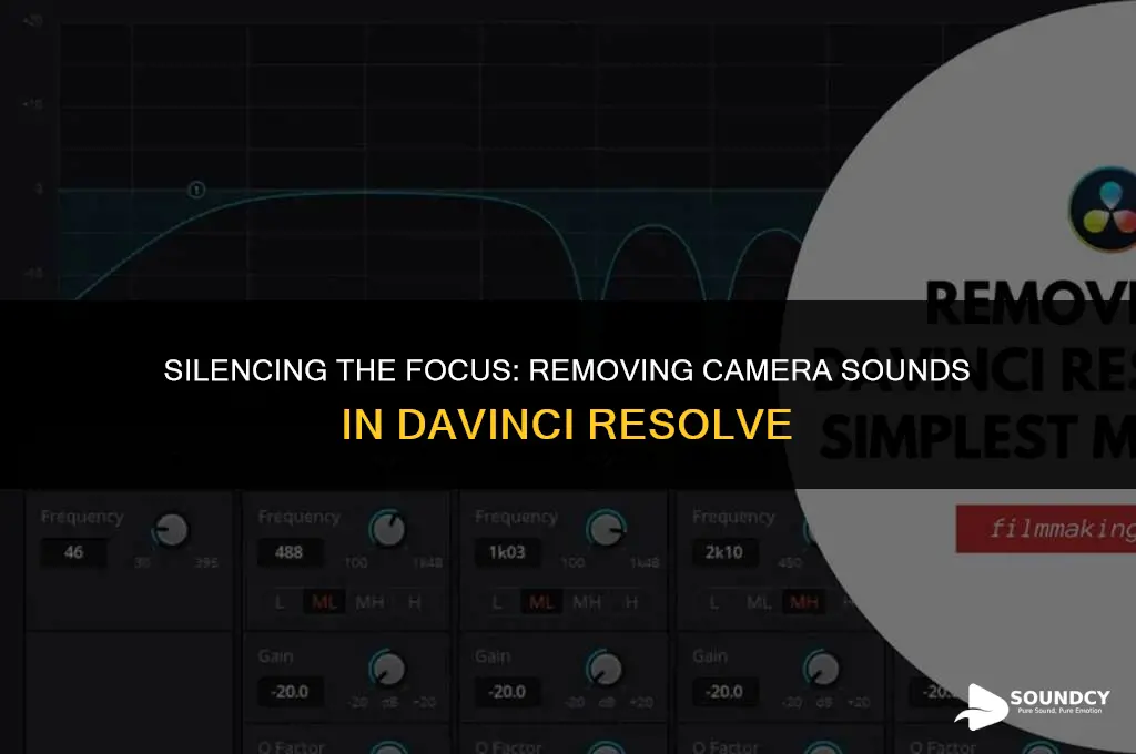 how to remove camera focusing sound on davinci resolve