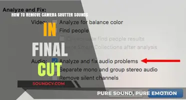 Silencing the Shutter: A Guide to Removing Camera Sounds in Final Cut
