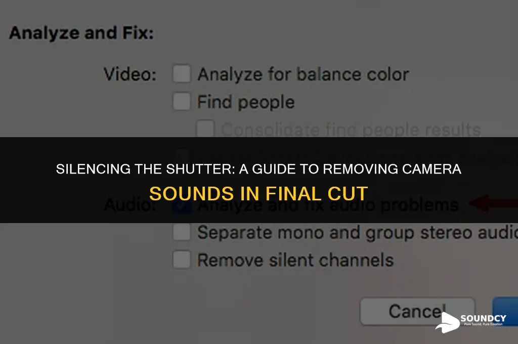 how to remove camera shutter sounds in final cut