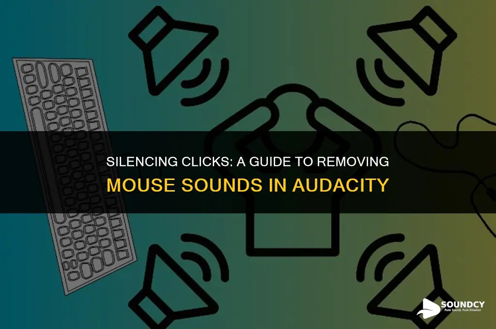 how to remove click sound from mouse on audacity