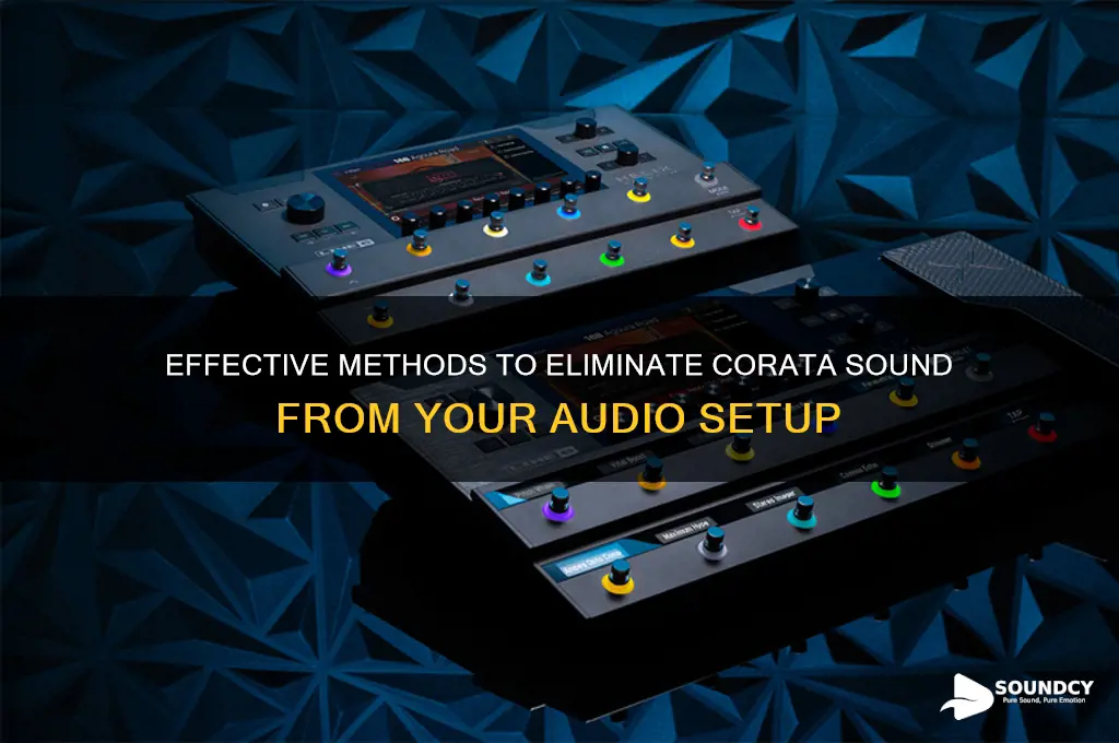 how to remove corata sound