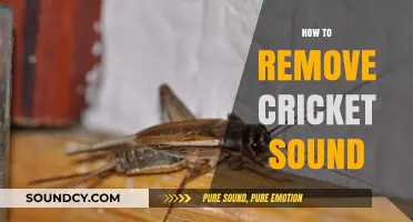 Effective Ways to Silence Annoying Cricket Sounds in Your Home