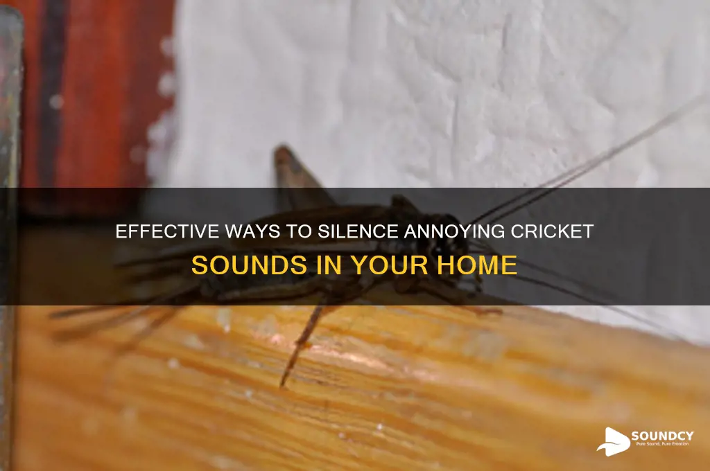 how to remove cricket sound