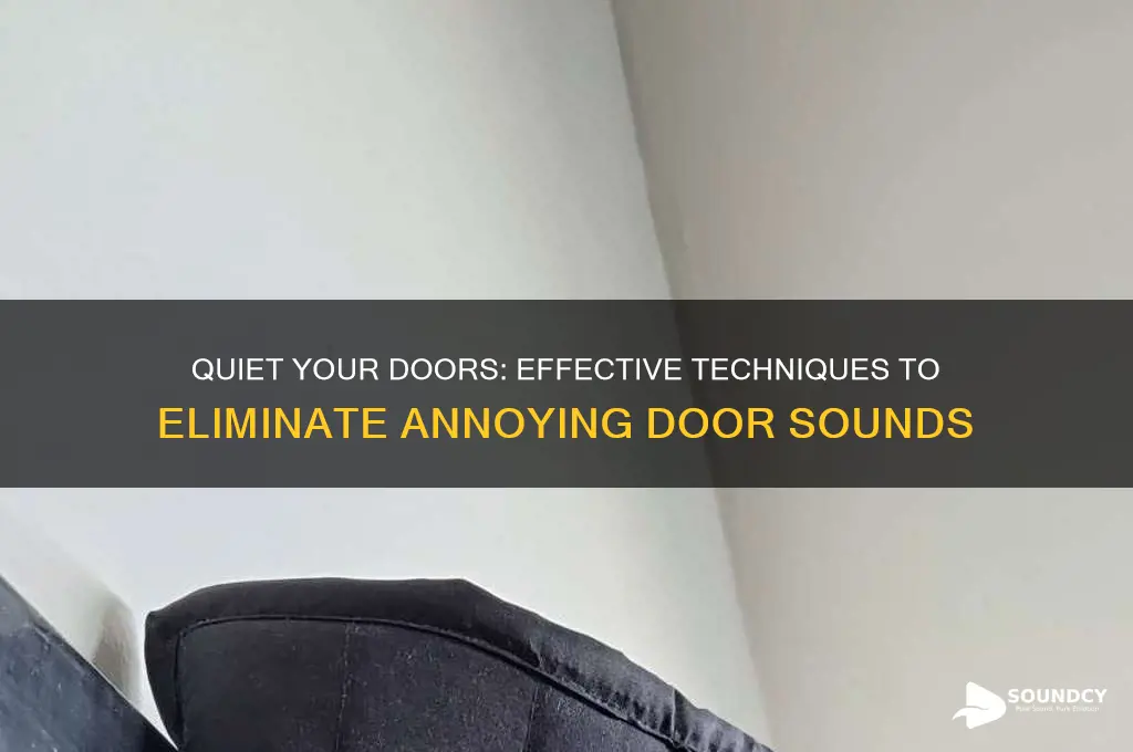 how to remove door sound