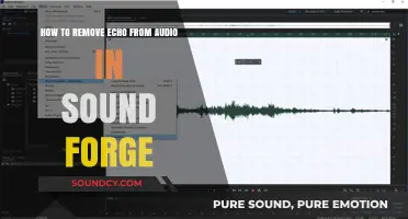 Mastering Audio Editing: Eliminate Echo in Sound Forge