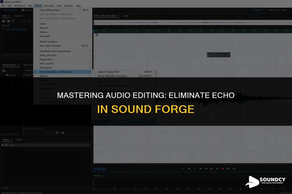 how to remove echo from audio in sound forge
