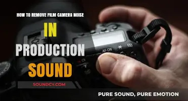 Silencing the Hiss: Techniques for Removing Film Camera Noise in Production Sound