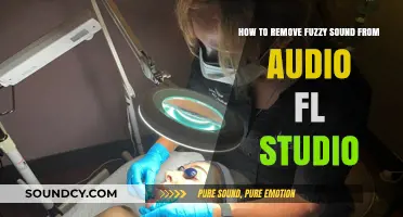 Mastering Clarity: Eliminate Fuzziness in FL Studio Audio