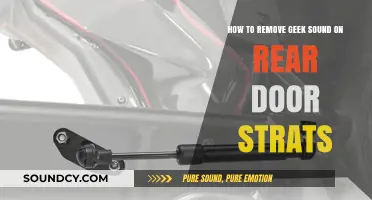 Silencing Geek Sound: A Guide to Quieter Rear Door Struts