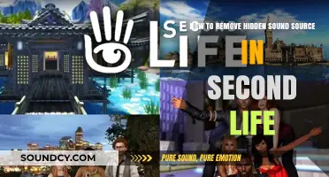 Uncover and Eliminate: Tackling Hidden Sound Sources in Second Life