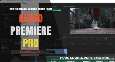 Eliminate Hissing: A Guide to Noise Reduction in Adobe Premiere Pro