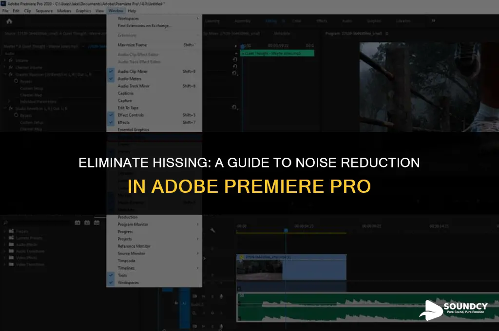 how to remove hissing sound from audio premiere pro